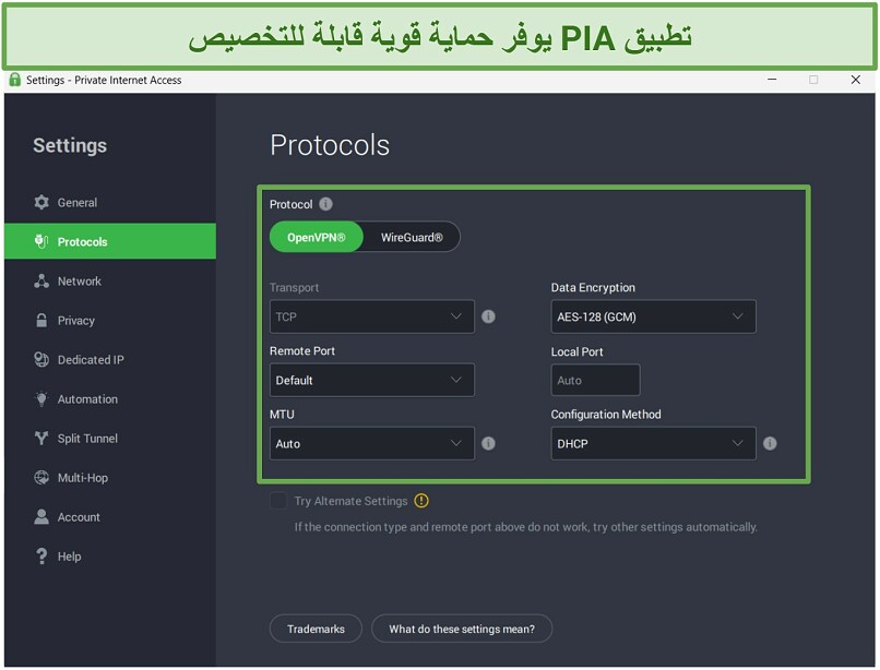 Screenshot of PIA's highly customizable security settings