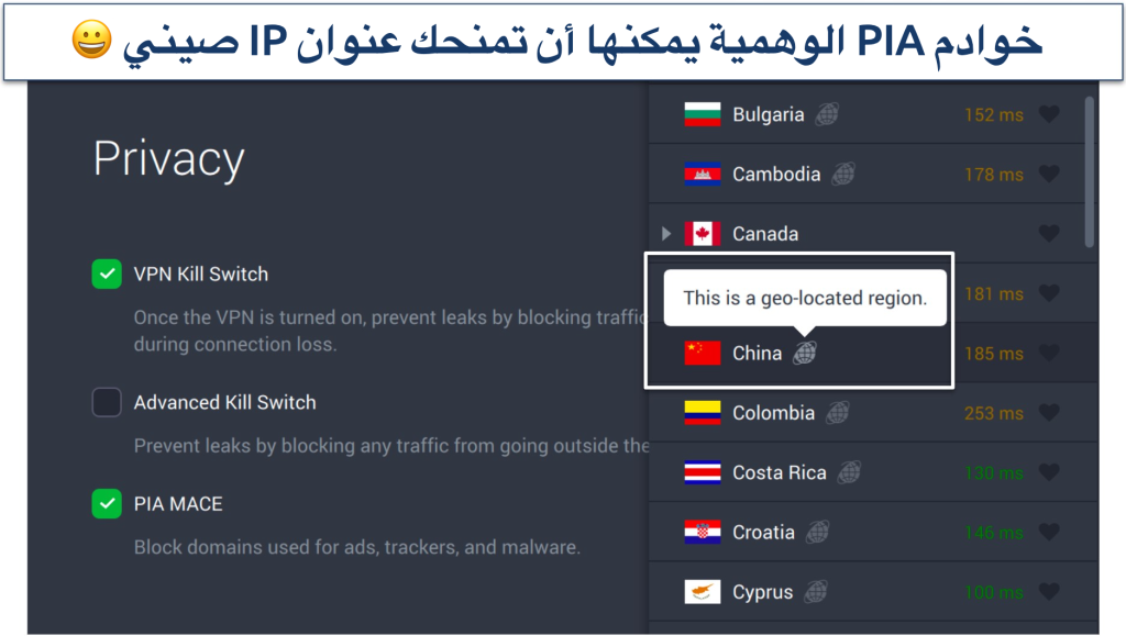 Screenshot of PIA's privacy settings and virtual servers in the app
